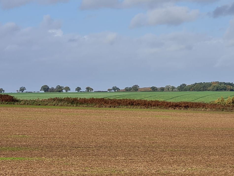 2022-11-08 20 Great Massingham.jpg