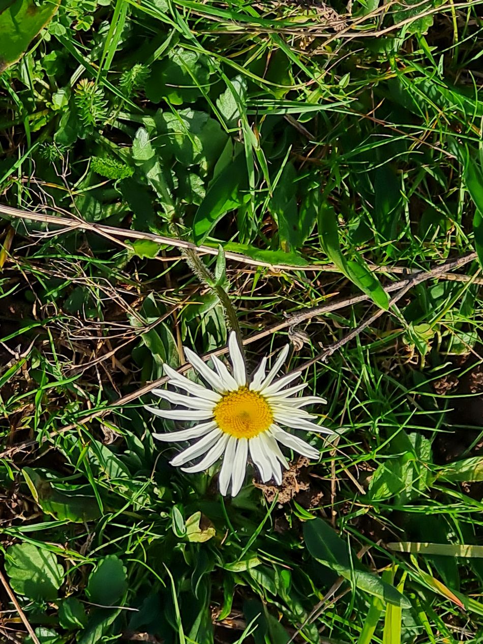 2022-11-08 21 Great Massingham.jpg