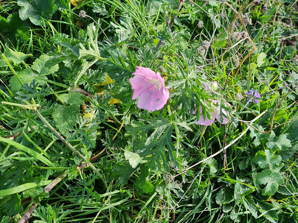 2022-11-08 23 Great Massingham.jpg