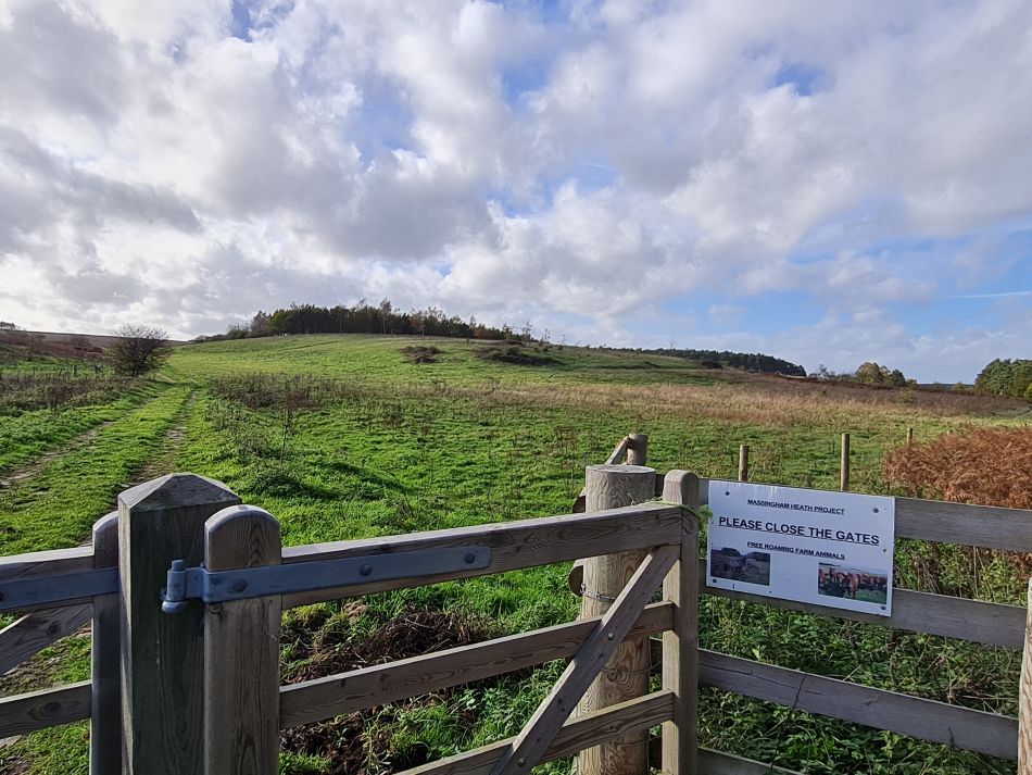 2022-11-08 28 Great Massingham.jpg