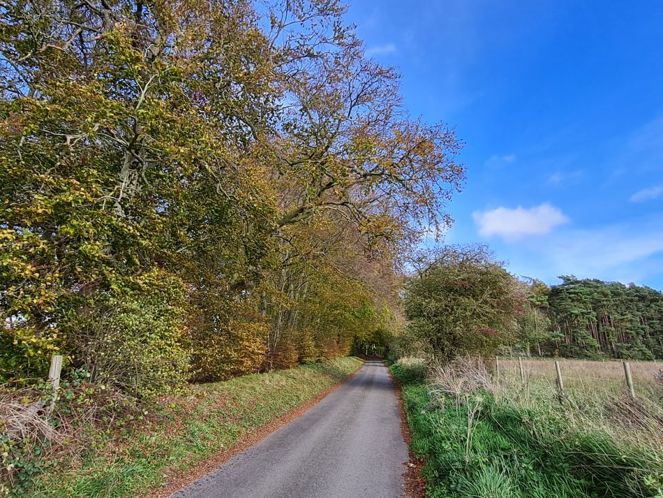 2022-11-08 29 Great Massingham.jpg