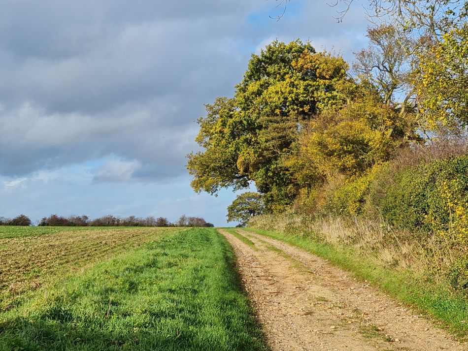 2022-11-08 37 Great Massingham.jpg