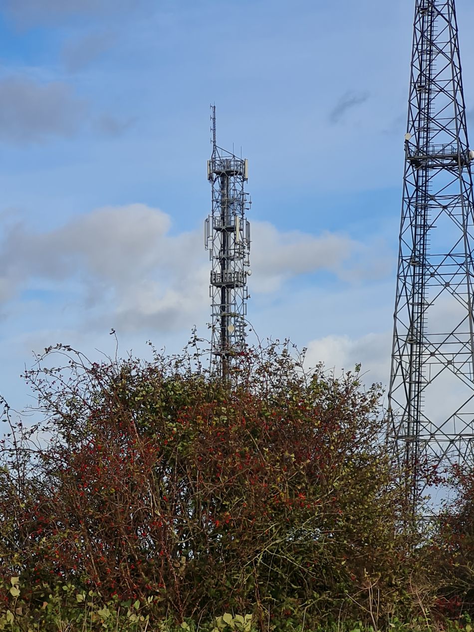 2022-11-08 39 Great Massingham.jpg