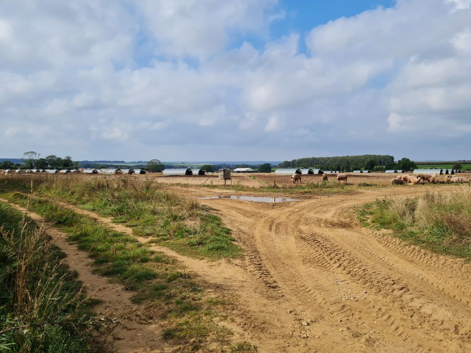 2023-09-17 03 Great Massingham.jpg