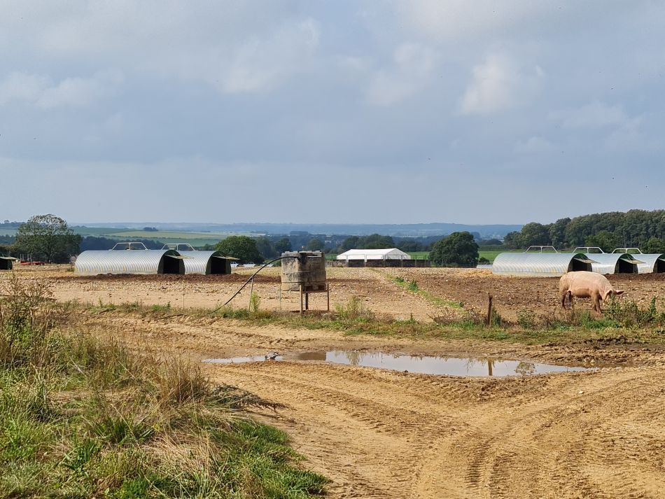 2023-09-17 04 Great Massingham.jpg