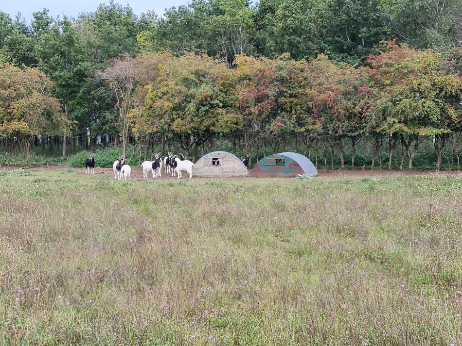 2023-09-17 09 Great Massingham.jpg