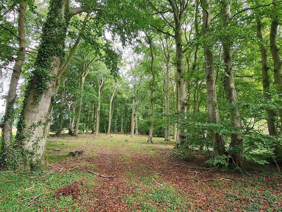 2023-09-17 11 Great Massingham.jpg