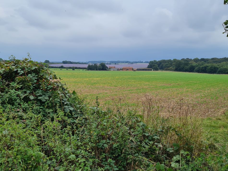 2023-09-17 12 Great Massingham.jpg