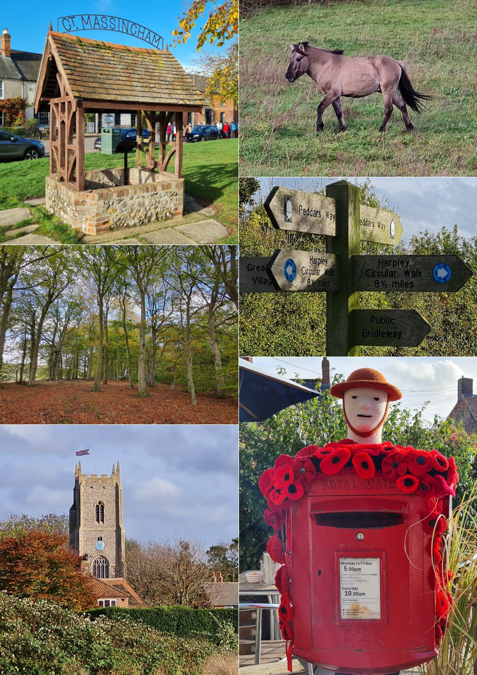 2023-09-17 98 Image.jpg