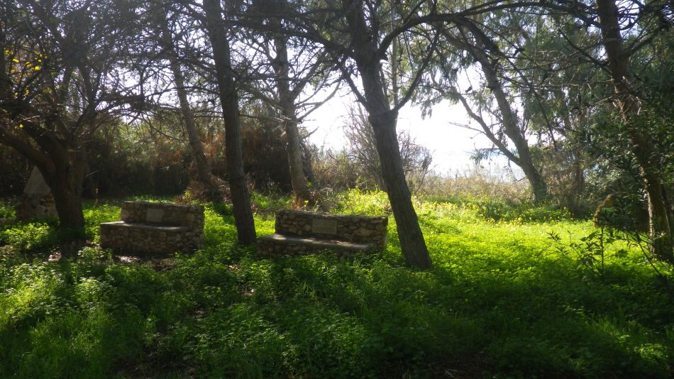 2018-01-15 07 Airport Walk.jpg