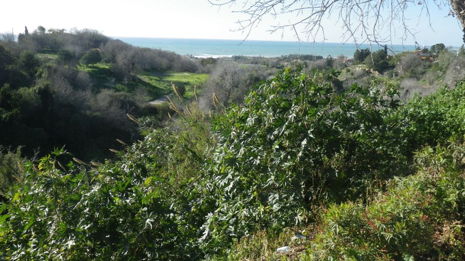 2018-01-19 11 Photos from 2018 Park.jpg