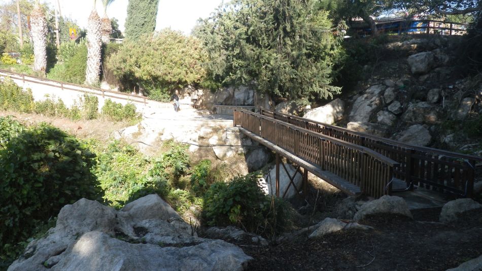 2018-01-19 13 Park.jpg