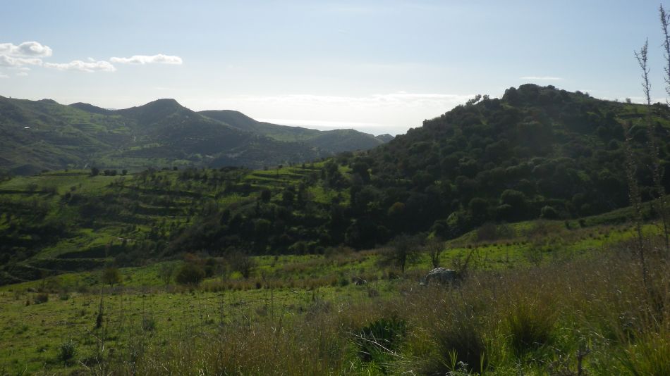 2018-01-20 09 Photos from 2018 Episkopi Walk.jpg