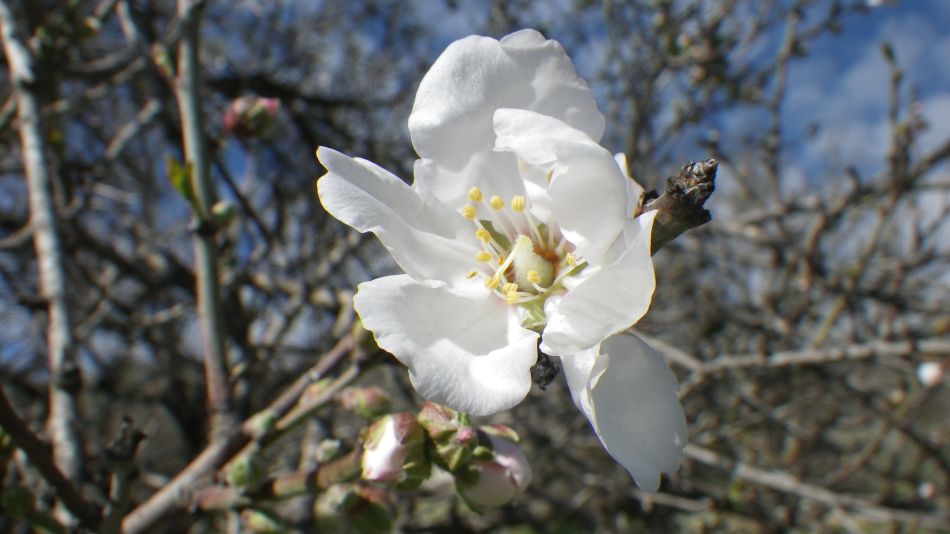 2018-01-20 12 Photos from 2018 Episkopi Walk.jpg