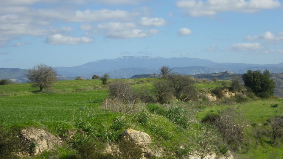 2018-01-20 14 Photos from 2018 Episkopi Walk.jpg