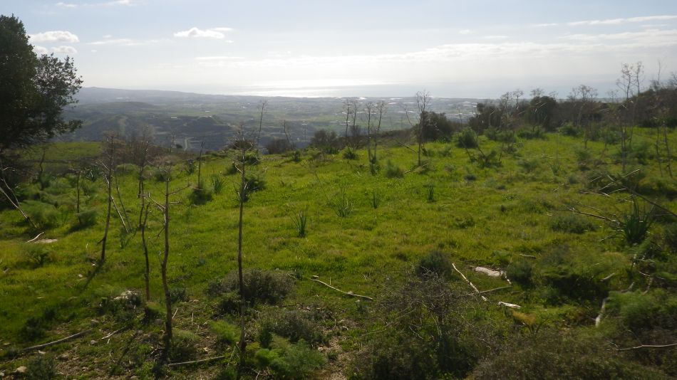 2018-01-20 15 Episkopi Walk.jpg