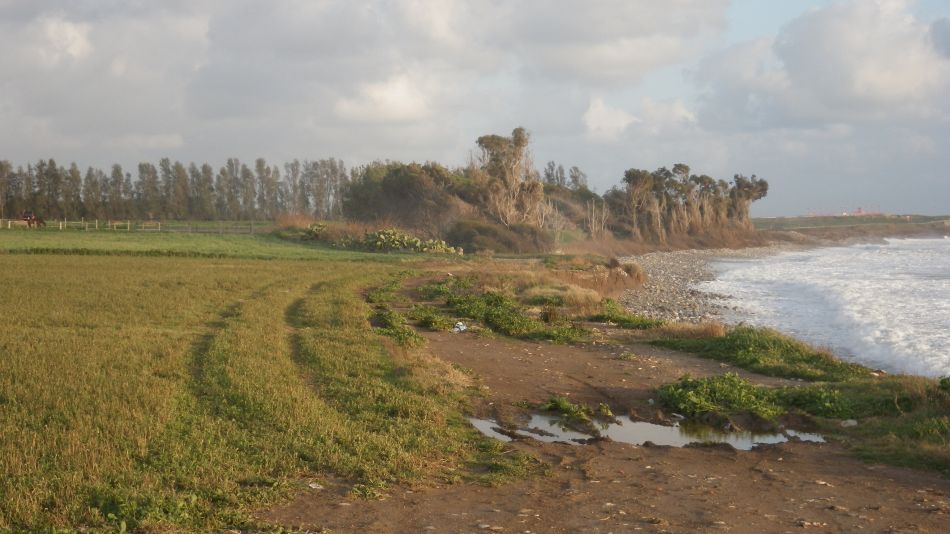 2018-01-23 03 Sea View.jpg