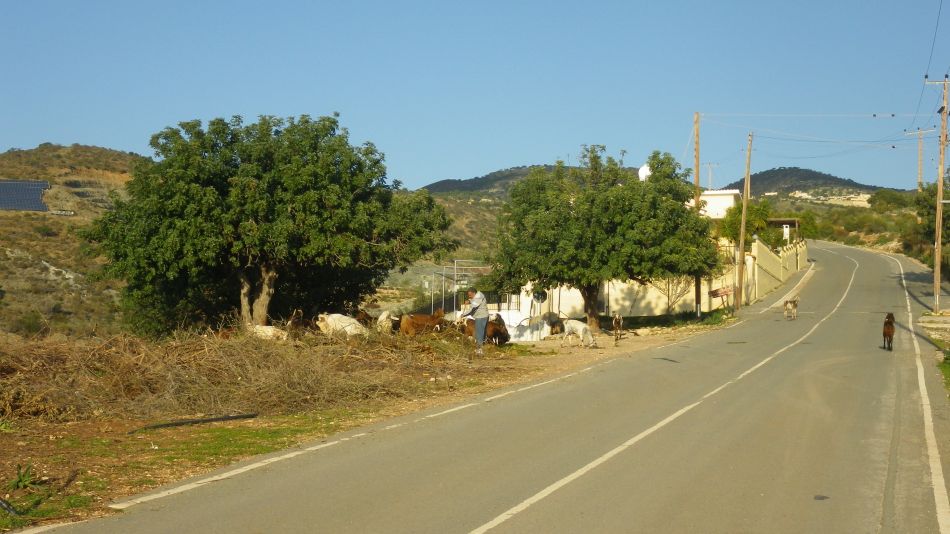 2018-01-27 27 Akoursos Area.jpg