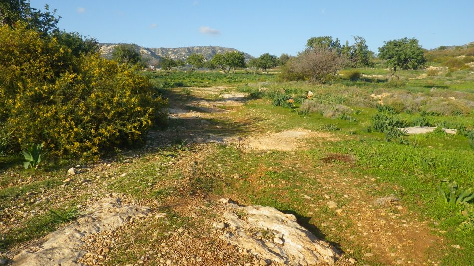 2018-01-28 08 The Path.jpg