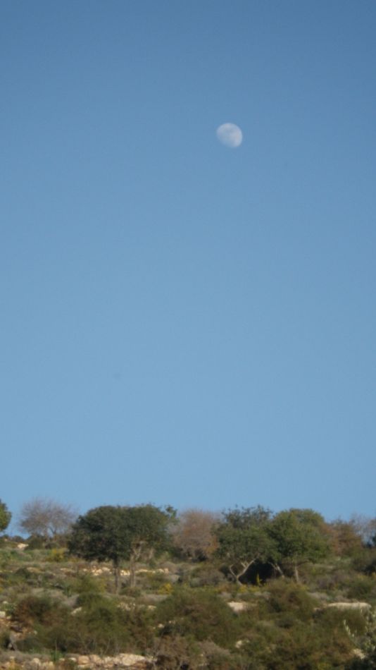 2018-01-28 09 Photos from 2018 The Moon.jpg