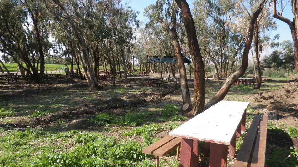 2018-01-30 01 Picnic Area.jpg