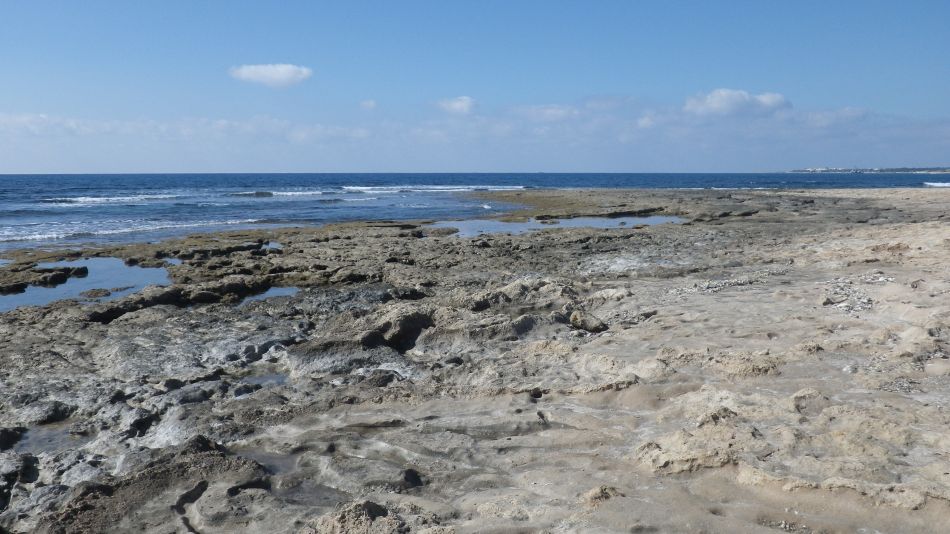 2018-01-30 11 Photos from 2018 Coast Near Airport.jpg