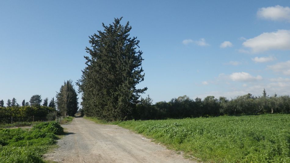 2018-01-30 14 Photos from 2018 Farm Land.jpg