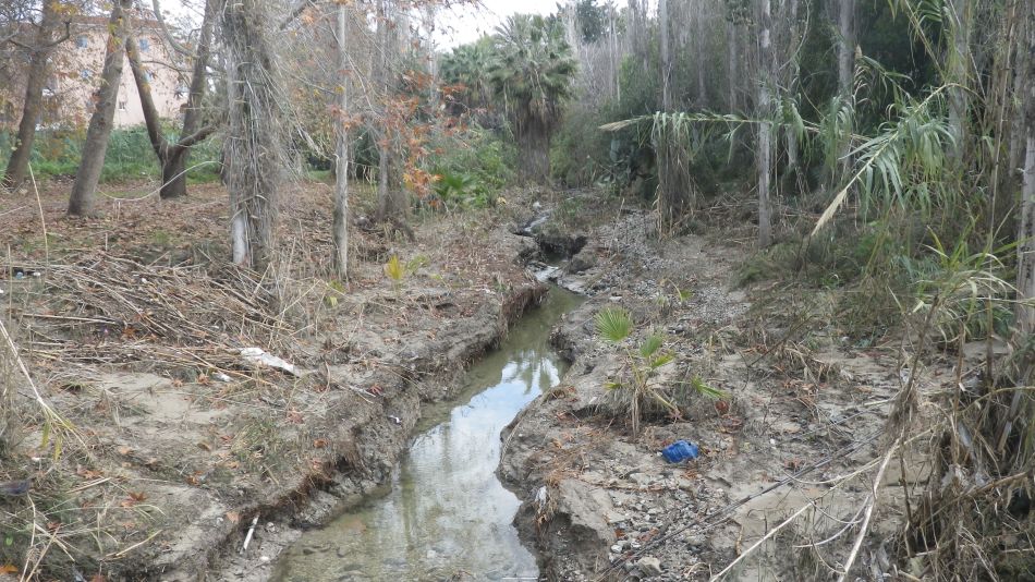 2019-01-14 02 Stream.JPG