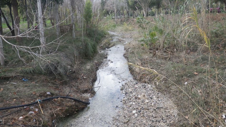 2019-01-14 03 Stream.JPG