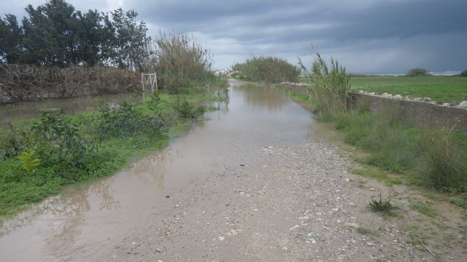 2019-01-16 05 Its Wading Time.JPG