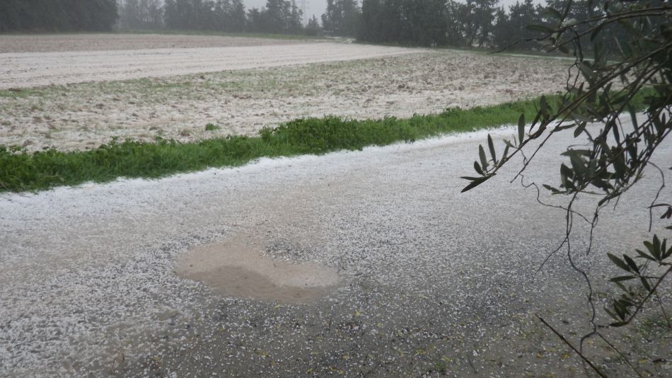 2019-01-16 06 Hails Bails.JPG