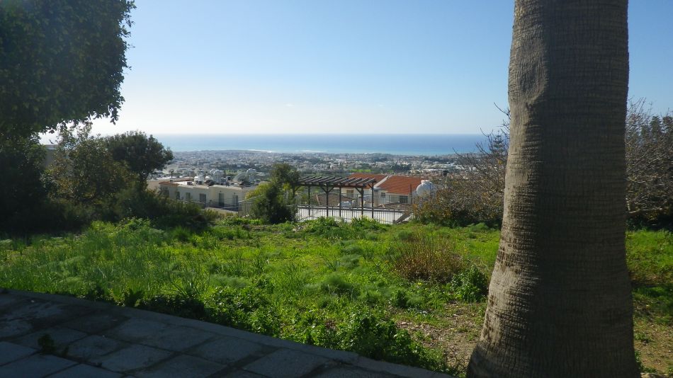 2019-01-17-05 View.JPG