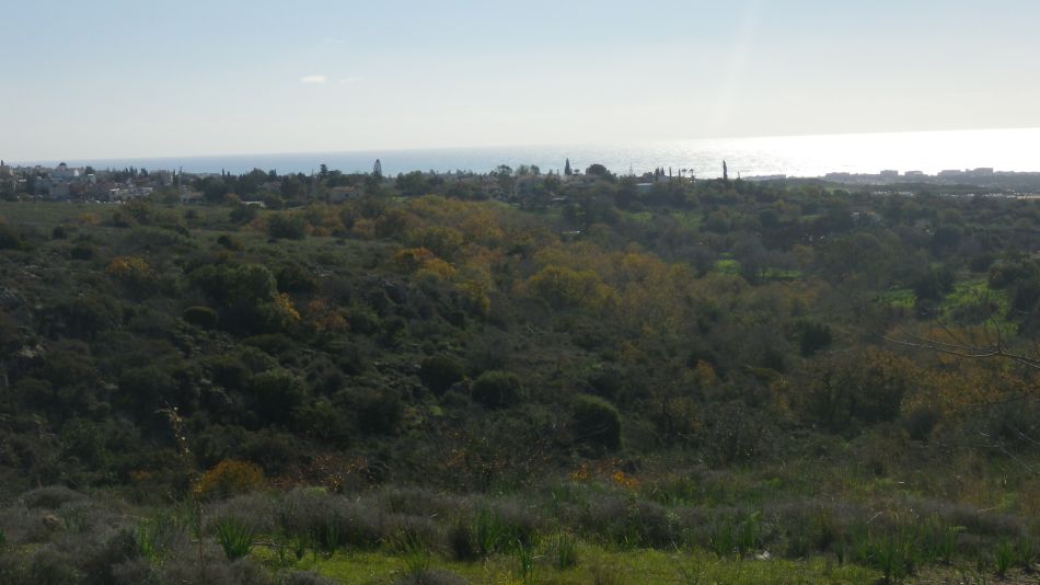 2019-01-17-07 View.JPG