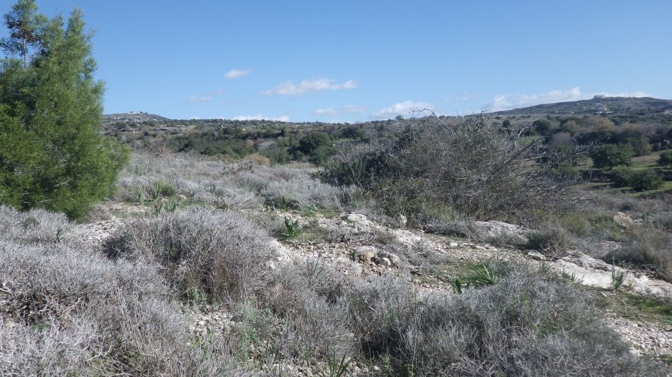 2019-01-17-08 View.JPG