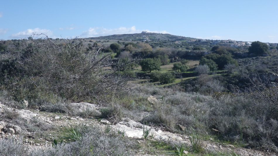 2019-01-17-09 View.JPG