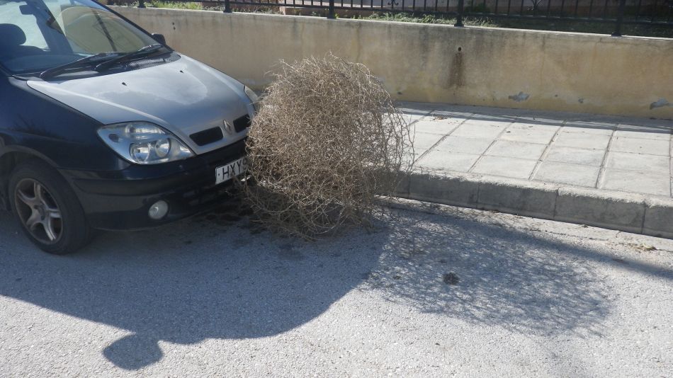 2019-01-17-10 Photos from 2019 Tumbleweed.JPG