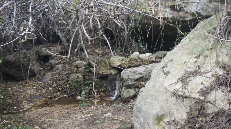 2019-01-18 10 Footpath.JPG