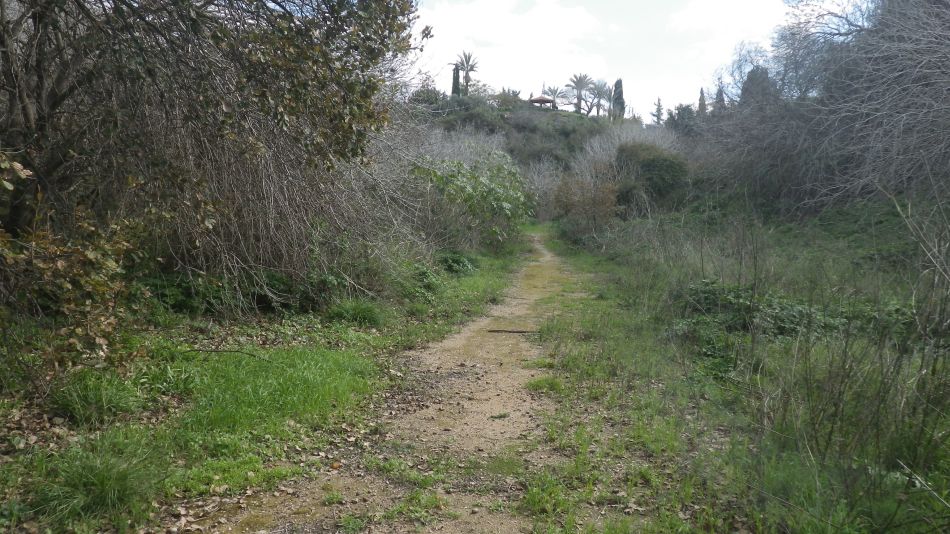 2019-01-18 11 Footpath.JPG