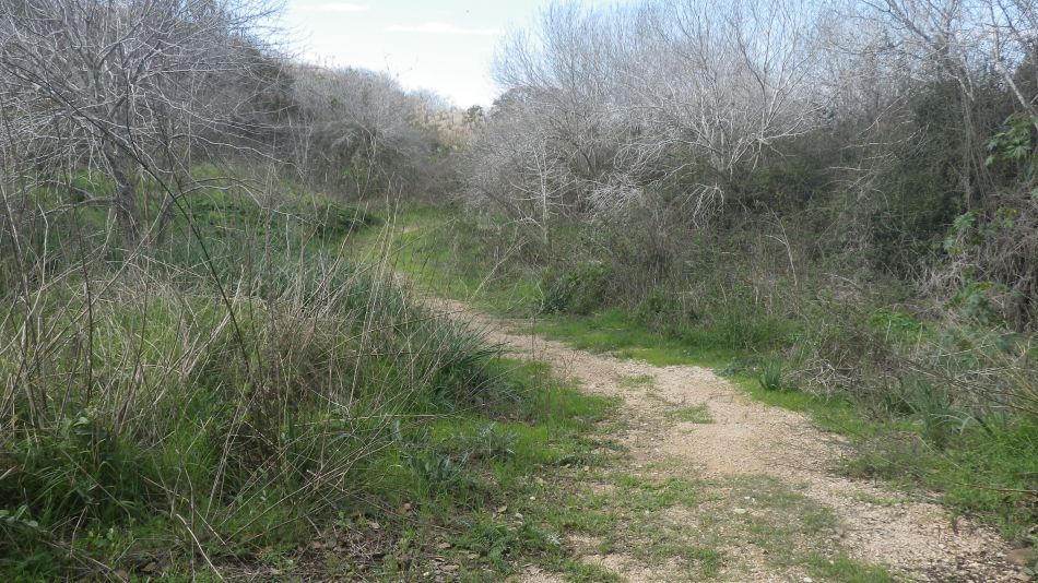 2019-01-18 12 Photos from 2019 Footpath.JPG