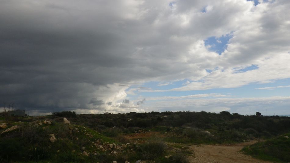 2019-01-19 21 Photos from 2019 Coast and Mountain Weather.JPG