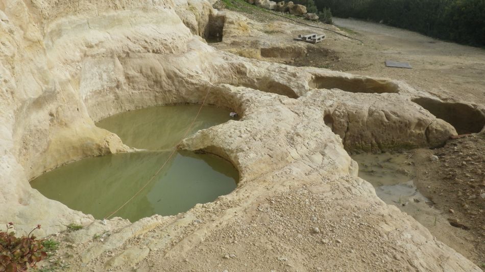 2019-01-19 29 Photos from 2019 Seven Saint Georges.JPG