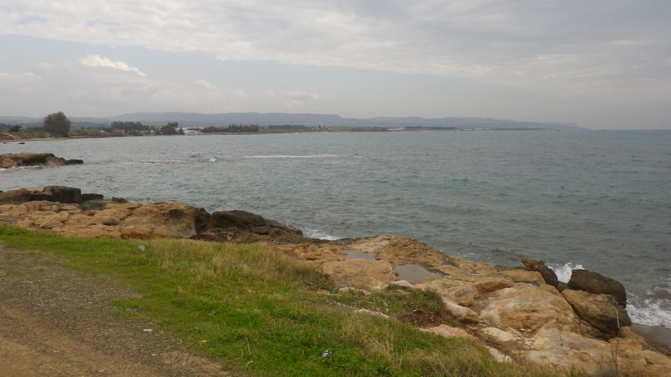 2019-01-22 03 South of the Airport.JPG