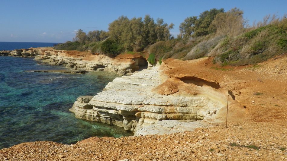 2019-01-23 27 Sea View.JPG