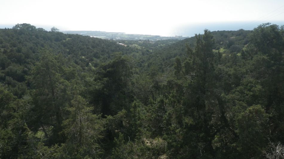 2019-01-23 33 View.JPG