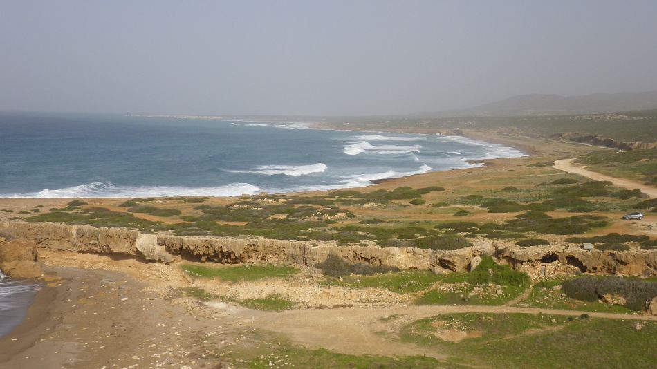 2019-01-25 08 Photos from 2019 Agios Georgios.JPG