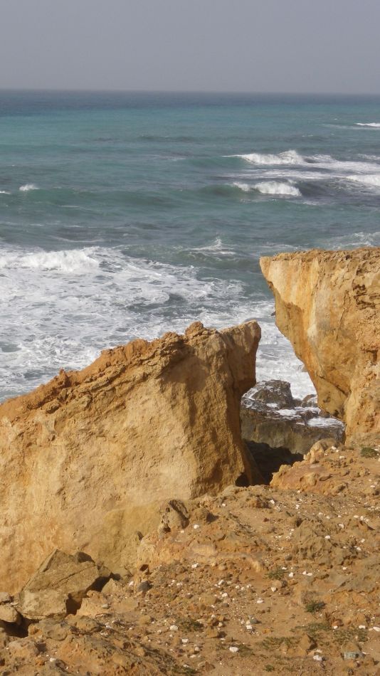 2019-01-25 17 Photos from 2019 Akamas Peninsula.JPG