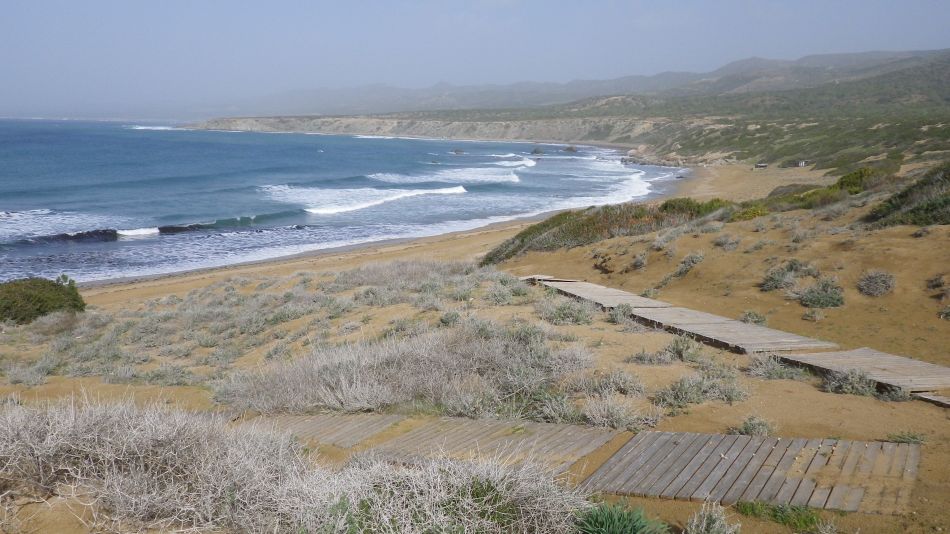 2019-01-25 22 Photos from 2019 Lara Bay Turtle Reserve.JPG