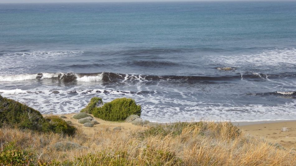 2019-01-25 24 Lara Bay Turtle Reserve.JPG