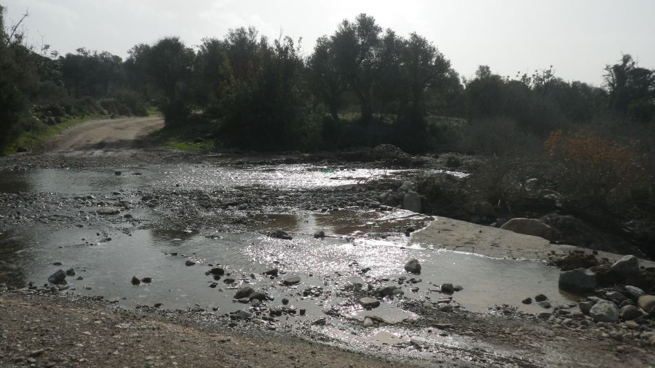 2019-01-25 27 Photos from 2019 More Wet Feet.JPG