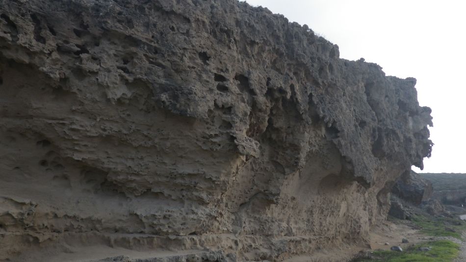 2019-01-25 31 Photos from 2019 Eroded Cliff.JPG